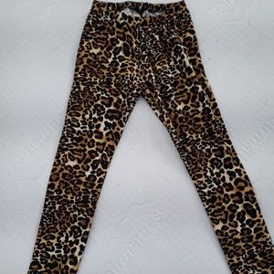 Leopard Leggings